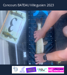 photo prise 20542 par Artur 