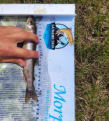 photo prise 21163 par Quentin team trout 73