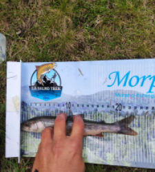photo prise 21166 par Quentin team trout 73