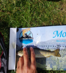 photo prise 21307 par Quentin team trout 73
