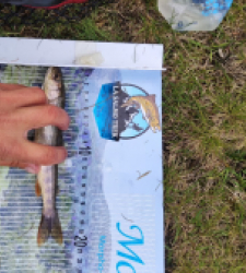 photo prise 21308 par Quentin team trout 73