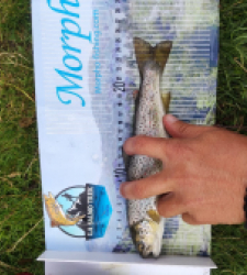 photo prise 21318 par Quentin team trout 73