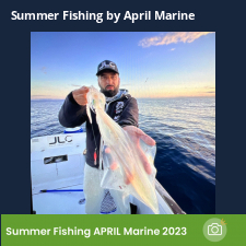 photo prise 23026 par Johnjohn.fishing