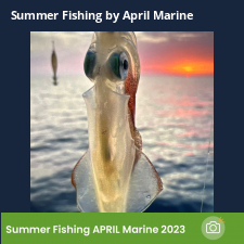 photo prise 23032 par Johnjohn.fishing