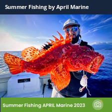 photo prise 23033 par Johnjohn.fishing