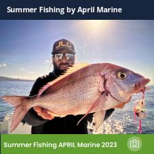 photo prise 23043 par Johnjohn.fishing