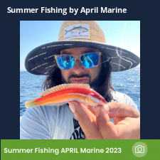 photo prise 23058 par Johnjohn.fishing