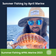 photo prise 23059 par Johnjohn.fishing