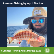 photo prise 23061 par Johnjohn.fishing