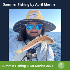 photo prise 23062 par Johnjohn.fishing
