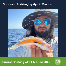 photo prise 23063 par Johnjohn.fishing