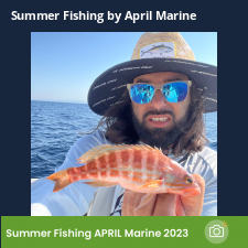 photo prise 23064 par Johnjohn.fishing