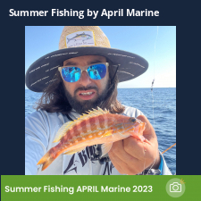 photo prise 23065 par Johnjohn.fishing