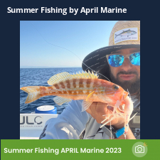 photo prise 23070 par Johnjohn.fishing
