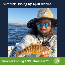 photo prise 23071 par Johnjohn.fishing