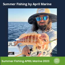 photo prise 23074 par Johnjohn.fishing