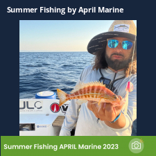 photo prise 23076 par Johnjohn.fishing