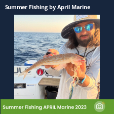 photo prise 23077 par Johnjohn.fishing
