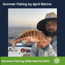 photo prise 23078 par Johnjohn.fishing
