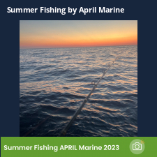 photo prise 23079 par Johnjohn.fishing