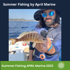 photo prise 23088 par Johnjohn.fishing