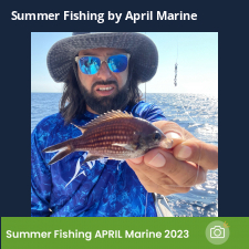 photo prise 23109 par Johnjohn.fishing