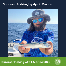photo prise 23110 par Johnjohn.fishing