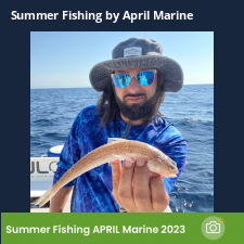 photo prise 23112 par Johnjohn.fishing