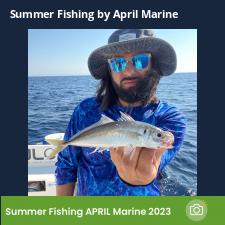 photo prise 23113 par Johnjohn.fishing