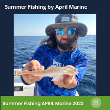 photo prise 23114 par Johnjohn.fishing