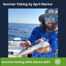photo prise 23115 par Johnjohn.fishing