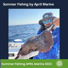 photo prise 23116 par Johnjohn.fishing