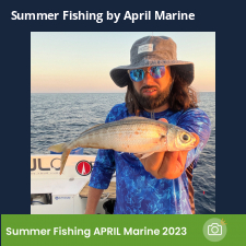 photo prise 23118 par Johnjohn.fishing