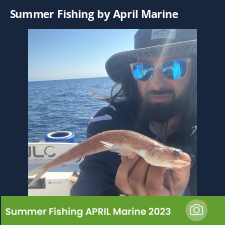 photo prise 23298 par Johnjohn.fishing