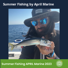 photo prise 23299 par Johnjohn.fishing