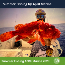photo prise 23330 par Johnjohn.fishing