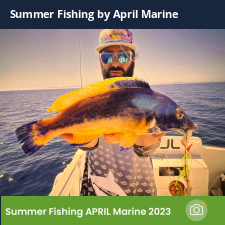 photo prise 23331 par Johnjohn.fishing