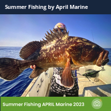 photo prise 23335 par Johnjohn.fishing