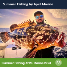 photo prise 23339 par Johnjohn.fishing