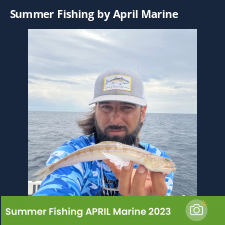 photo prise 23351 par Johnjohn.fishing