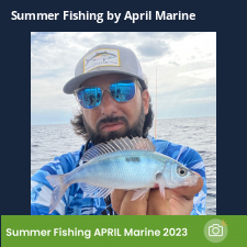 photo prise 23352 par Johnjohn.fishing