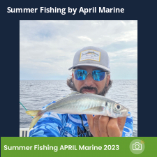 photo prise 23353 par Johnjohn.fishing