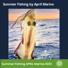 photo prise 23355 par Johnjohn.fishing