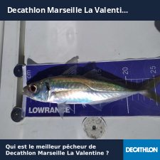 photo prise 24362 par Le Did 62