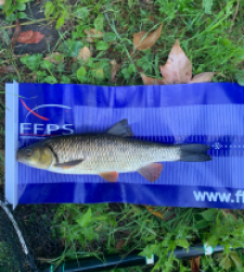 photo prise 24570 par Fullfish
