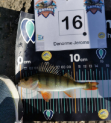 photo prise 24590 par Denorme Jerome