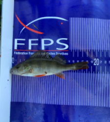 photo prise 24593 par Fullfish