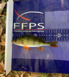 photo prise 24612 par Fullfish