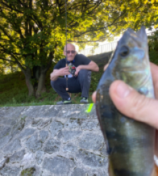 photo prise 24619 par Peppe