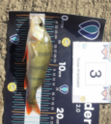photo prise 24695 par Fishing_adventur